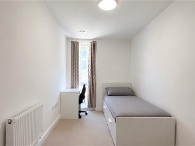 Picture 8